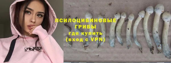 кокс Алзамай