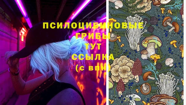 мескалин Аркадак
