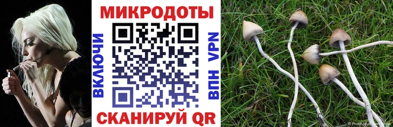 Купить закладки  Сысерть  Псилоцибиновые грибы мухоморы 